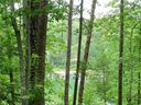 455 Shimmering Water Lane sold home in Salem, SC