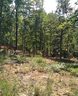 6003 N Mt Vernon Drive sold home in Seneca, SC