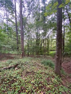00 Meadowbrook Drive