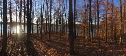 00 Northview Court Lot 23 sold home in Edgewater Hills, Fair Play, SC
