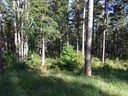 00 High Pines Drive sold home in Salem, SC