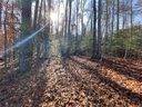 133 Sweet Gum Drive sold home in Westminster, SC