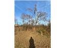 Lot 10A West Sunset Court sold home in Lakeshore East, Seneca, SC