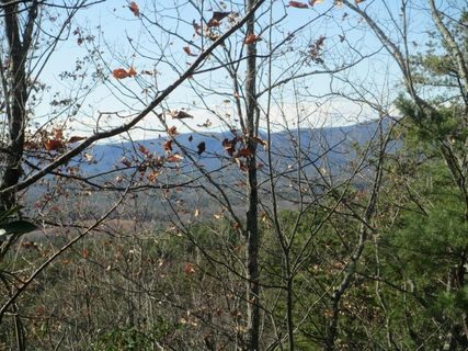 N31 Mountain Laurel Drive