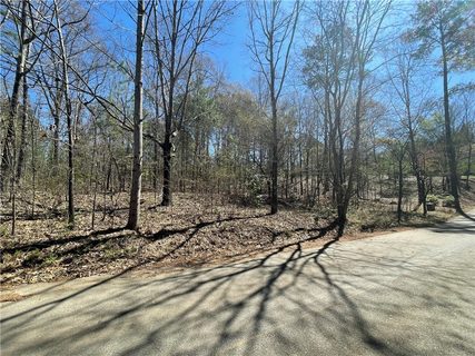 00 Carnelda / N Alan Drive sold land listing in Captains Cove, Seneca, SC