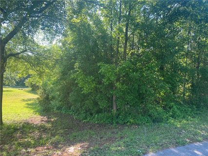 232 Bridgeview Drive