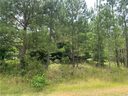 Lot 23 Bay Ridge Drive sold home in Townville, SC