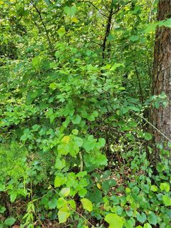 0 Lot 49 Tabor Ramp Road sold home in Tabor Estates, Westminster, SC
