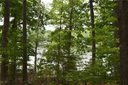 124 Edgewater Point sold home in Abbeville, SC