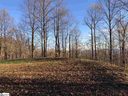 275 Lost Trail Drive sold home in Landrum, SC